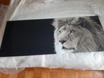 Prachtige foto van leeuwenkop op glas - 125 x 50 cm, Huis en Inrichting, Ophalen