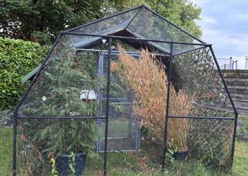 Voliere te koop met planten en voersilo beschikbaar voor biedingen