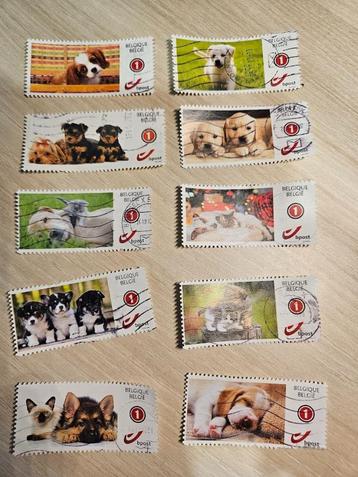 Postzegels België speciale uitgifte beschikbaar voor biedingen