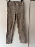 Verstoppertje broek,DTC,LeeCooper,Miss RJ, Kleding | Dames, Zo goed als nieuw