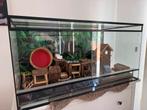 Terrarium geschikt volr knaagdier of reptiel met toebehoren, Dieren en Toebehoren, Ophalen, Zo goed als nieuw, Terrarium of Paludarium