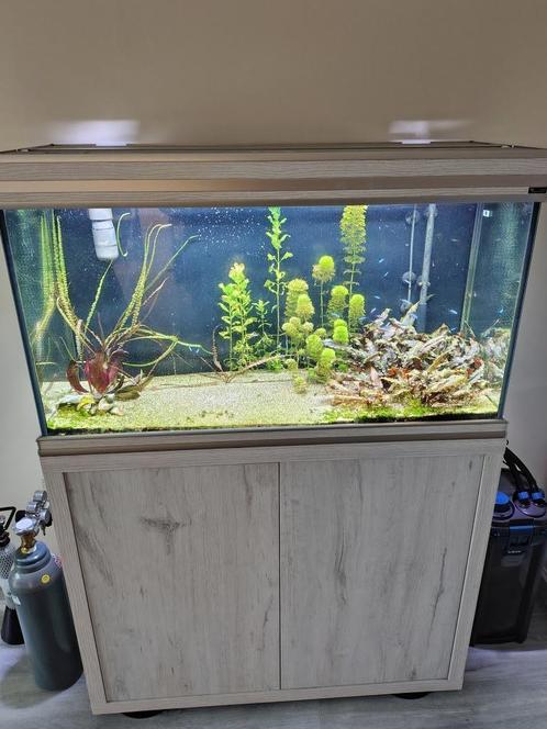 Aqualantis aquarium, Dieren en Toebehoren, Vissen | Aquaria en Toebehoren, Zo goed als nieuw, Leeg aquarium, Ophalen