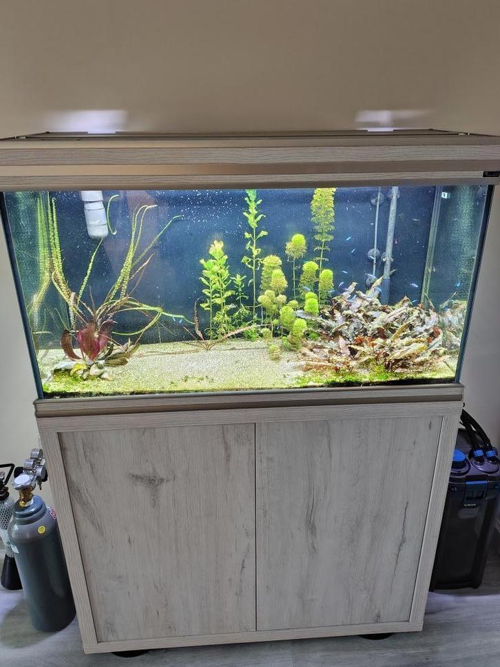 Aqualantis aquarium, Dieren en Toebehoren, Vissen | Aquaria en Toebehoren, Zo goed als nieuw, Leeg aquarium, Ophalen