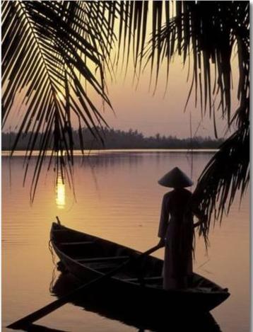 Photo Poster « Vue du soir sur le Delta du Mékong au Vietnam beschikbaar voor biedingen