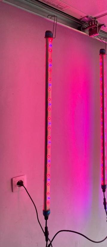Teeltlampen grow led kweeklampen 35w beschikbaar voor biedingen