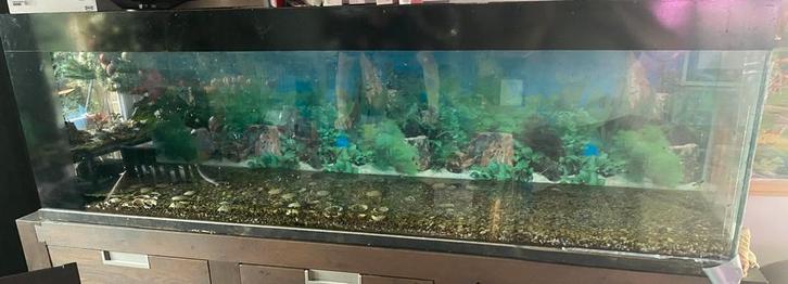 Aquarium 2 meter, Dieren en Toebehoren, Vissen | Aquaria en Toebehoren, Gebruikt, Ophalen