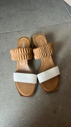 Andrea Catini muiltje, maat 39€, Kleding | Dames, Ophalen, Zo goed als nieuw