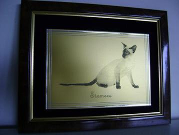 kader met koperen plaat met afbeelding siamese kat