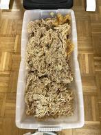 4kg Wildgeplukte Golden Droge Seamoss – (Saint Lucia), Enlèvement ou Envoi