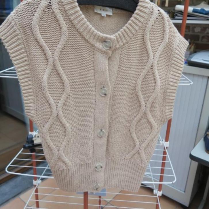 Oversized gileetje beige grove brei Gigue mt 36 , Kleding | Dames, Truien en Vesten, Zo goed als nieuw, Maat 36 (S), Beige, Ophalen of Verzenden