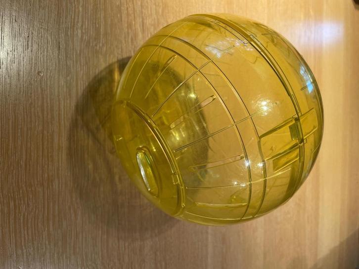 Accessoires voor dwerghamster, Dieren en Toebehoren, Knaagdieren, Hamster