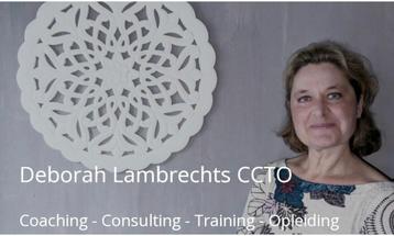 WORK-LIFE BALANCE (live coaching) met VDAB loopbaancheques  beschikbaar voor biedingen