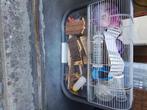 HAMSTERKOOI EN ACCESOIRES, Dieren en Toebehoren, Ophalen, Gebruikt, Kooi, Hamster