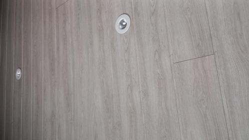 plafond planchetten, extra lang, Doe-het-zelf en Bouw, Hout en Planken, Gebruikt, Plank, Overige houtsoorten, 250 tot 300 cm, Minder dan 25 mm