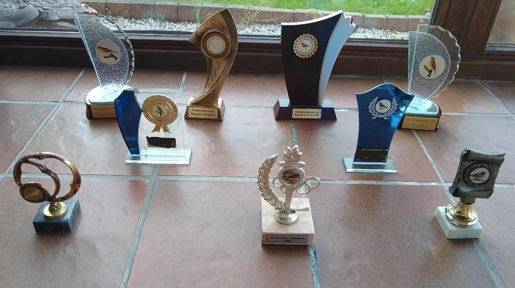 Trofeeën/wedstrijdbekers/prijsbekers/awards - zo goed als ni, Hobby en Vrije tijd, Overige Hobby en Vrije tijd, Zo goed als nieuw