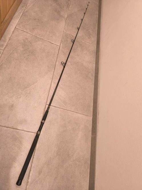 Top hengel G.loomis. custom blank .steel power 20 LB, Watersport en Boten, Hengelsport | Zeevissen, Zo goed als nieuw, Ophalen