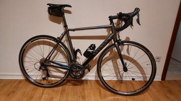 Canyon Endurace AL (L) Racefiets beschikbaar voor biedingen