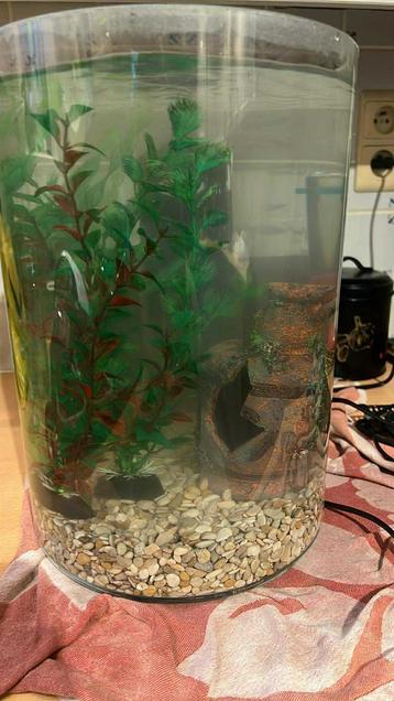 Aquarium - zie beschrijving  beschikbaar voor biedingen