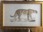 Cadre décoratif "jaguar", Neuf, Moins de 50 cm, Enlèvement ou Envoi, Bois