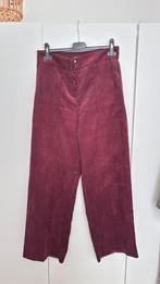 Pantalon daim bordeaux C&A t34, Enlèvement ou Envoi, Comme neuf