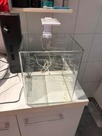 Volledig aquarium, Dieren en Toebehoren, Vissen | Aquaria en Toebehoren, Ophalen, Zo goed als nieuw