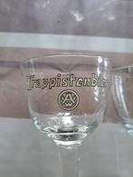 Oude glazen in Westmalle, Ophalen of Verzenden, Zo goed als nieuw, Bierglas