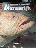 Het geheim van het dierenrijk, Boeken, Gelezen, Ophalen of Verzenden