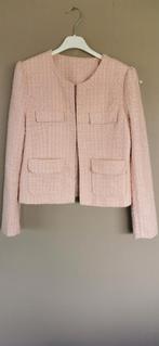 Lichtroze nieuwe blazer Bel & Bo maat 36, Vêtements | Femmes, Vestes & Costumes, Neuf, Enlèvement ou Envoi, Rose, Taille 36 (S)