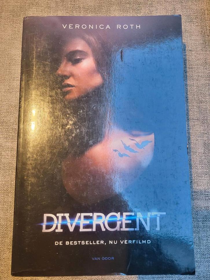 Veronica Roth - Divergent, Boeken, Kinderboeken | Jeugd | 13 jaar en ouder, Ophalen of Verzenden