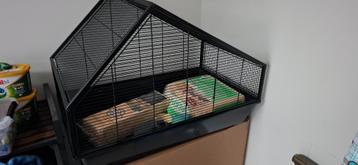 Hamsterkooi, Enlèvement, Utilisé, Cage, Hamster