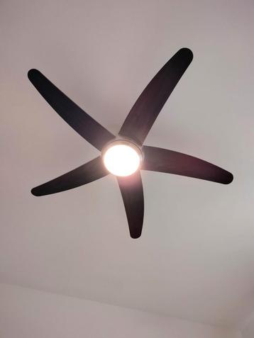 Plafond ventilator, Enlèvement, Comme neuf