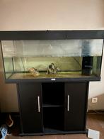 Juwel aquarium Rio 180, Dieren en Toebehoren, Vissen | Aquaria en Toebehoren, Ophalen, Zo goed als nieuw