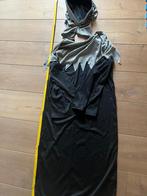 Grote verkleedset kinderen – 10 outfits, Ophalen, Gebruikt, Meisje