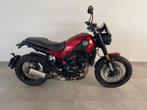 Benelli Leoncino 500, Entreprise, 2 cylindres, 499 cm³, Permis Moto A2 minimum