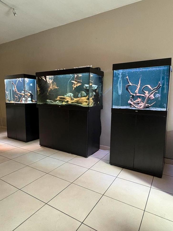 3 aquariums volledig compleet met visbestand alles alles!!, Dieren en Toebehoren, Vissen | Aquaria en Toebehoren, Zo goed als nieuw