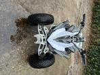 Quad elektrisch, Motoren, Quads en Trikes