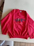 RODE T-shirt en RODE pull maat 164, Kinderen en Baby's, Kinderkleding | Maat 164, Ophalen of Verzenden, Zo goed als nieuw