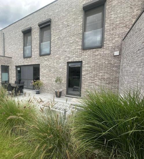 BEN Rijwoning (Rode Molenstraat 42 - Mechelen): 485.000 euro, Immo, Huizen en Appartementen te koop, Mechelen, tot 200 m², Tussenwoning