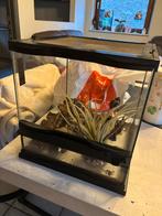 Terrarium 30x30, Enlèvement, Comme neuf