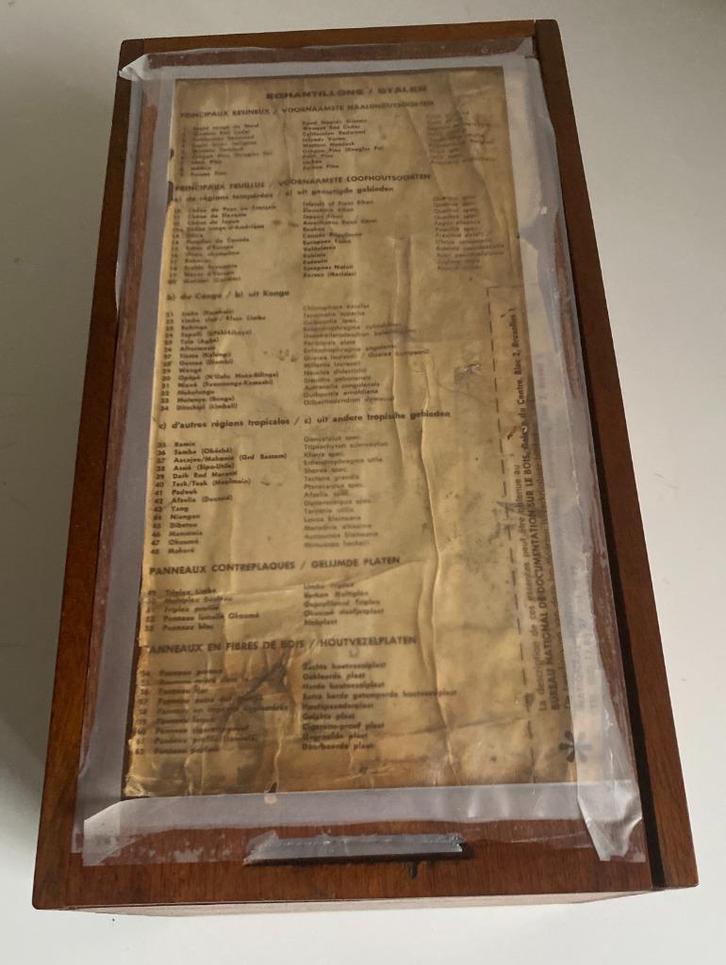 Boîte de 62 échantillons essences et produits à base de bois, Antiquités & Art, Antiquités | Outils & Instruments, Enlèvement ou Envoi