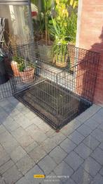 Dieren, Dieren en Toebehoren, Ophalen of Verzenden