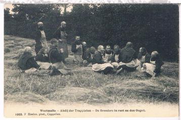 Westm.-Abdij der Trappisten-De Broeders in rust na den Oogst beschikbaar voor biedingen