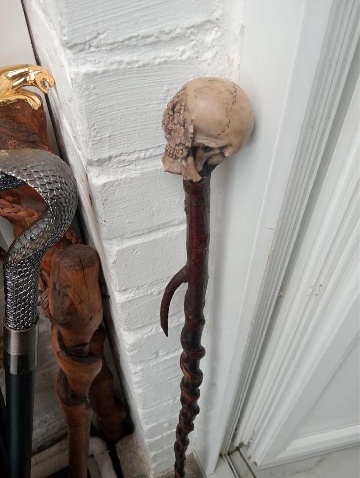 Canne tête de mort ( halloween), Divers, Bâtons de marche