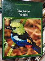 Tropische vogels, Enlèvement ou Envoi, Oiseaux