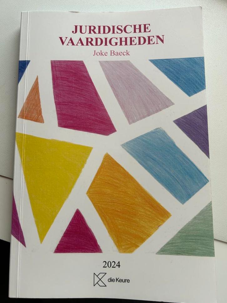 Juridische Vaardigheden (1e Bachelor Rechten UGent), Livres, Livres d'étude & Cours, Comme neuf, Enlèvement ou Envoi