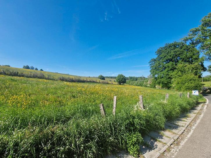 6830 LES HAYONS - Bouillon : superbe terrain, 1ha 44a 66ca., Immo, Terrains & Terrains à bâtir, 1500 m² ou plus