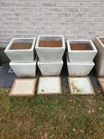 6x Large geglazuurde vorstbestendige bloempot + schaal, Ophalen, Binnen