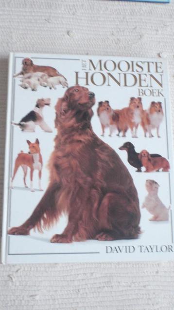 Het mooiste hondenboek - David Taylor