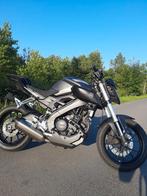 Yamaha MT-125 met Akrapovic, Motos, 1 cylindre, Naked bike, Particulier, 125 cm³