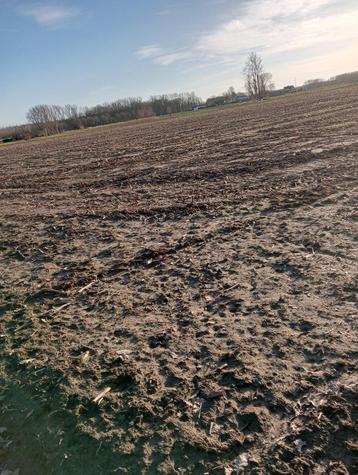 landbouwgrond beschikbaar voor biedingen
